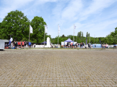 LGO2026.05.03_11.35.03